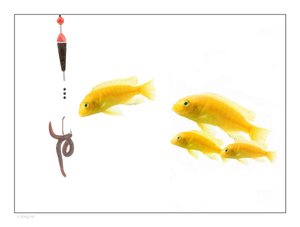 全文检索
