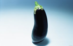 全文检索